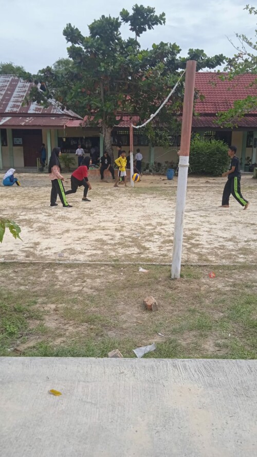 Volly.jpg