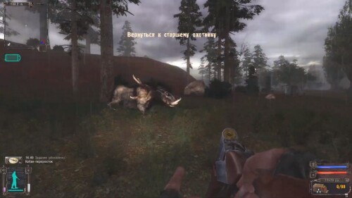 stalker-gadnost_3.jpg