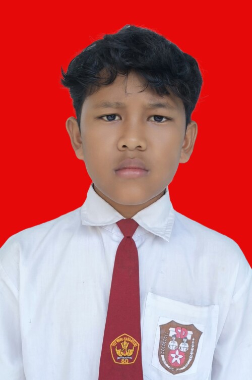 PANDI.jpeg