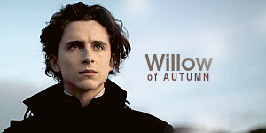 sig-willow.png