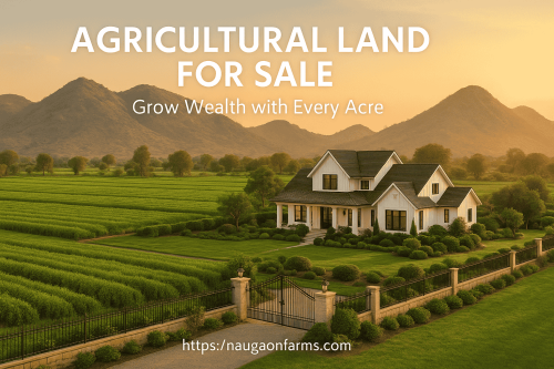 Agricultural-Land-for-Sale-Grow-Wealth-with-Every-Acre.png