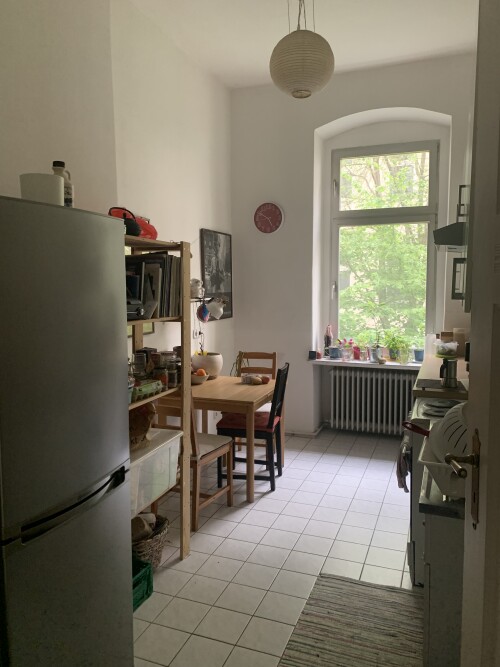 IMG_2037.jpeg