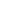 icons8-STATISTIKA-100.png