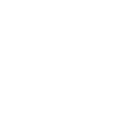 icons8-VNESNYY-SSYLKA-128.png