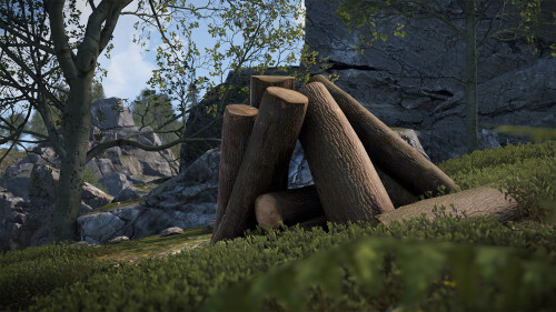 legacy_woodpile_01.jpg
