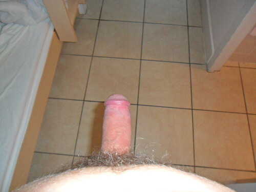 SAM_2339.jpg