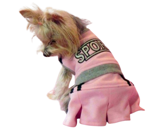 bdd8cd9a868f5b6aba8f319d9bacc92d-removebg-preview.png