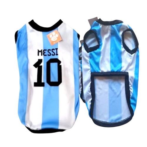 remera-argentina1-04b04f33c2f1fb6e6816691505601044-640-0-removebg-preview.png