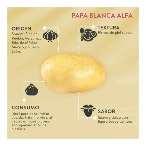 PAPA-ALFA-4.jpg