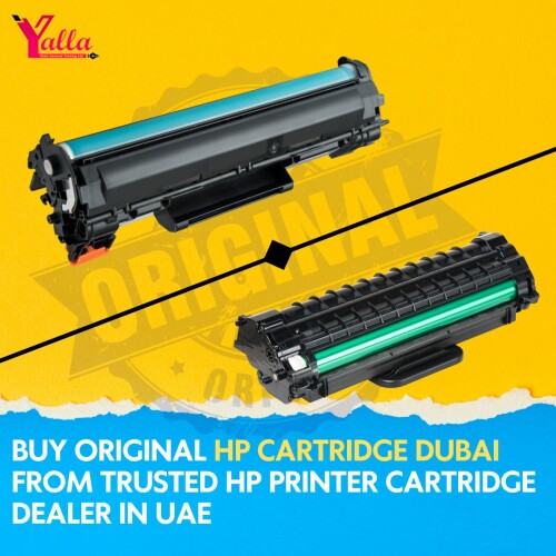yalla-llc-7.jpg