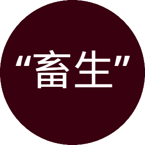 blobe3b0a77206b70b7d.png