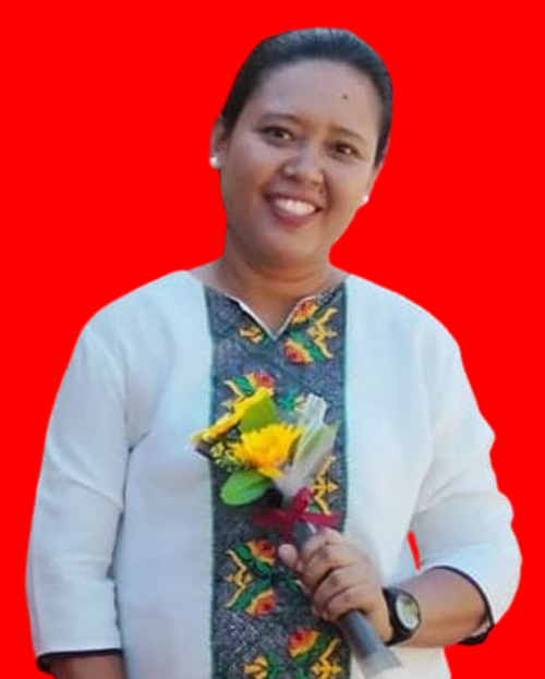 imel2.png