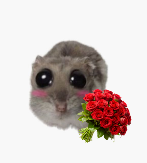 BEZ-NAZVANIY78_20250703161309.png