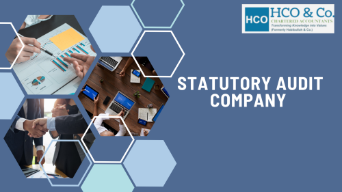 Statutory-Audit-Company-in-India.png