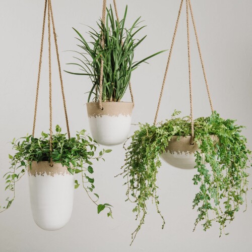 hanging-pot-plants1.jpg