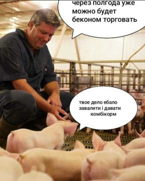 6tjj24dh_lg.jpg