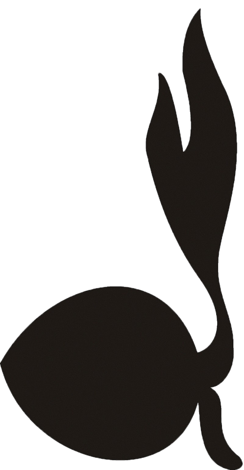 Siluete.png
