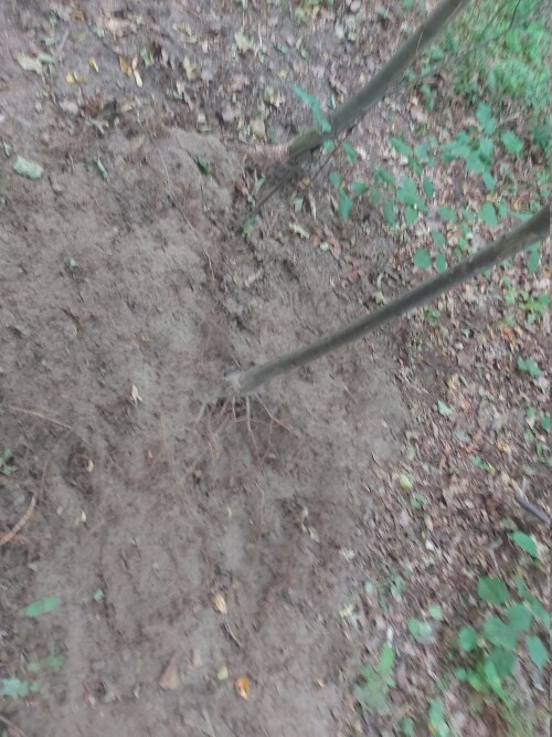 20250708_181838.jpg