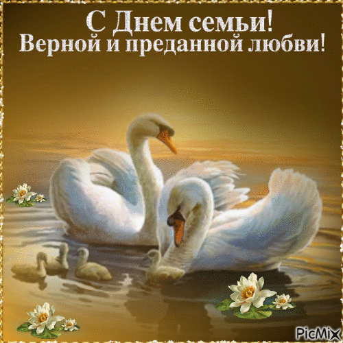 6721862_70a33.gif