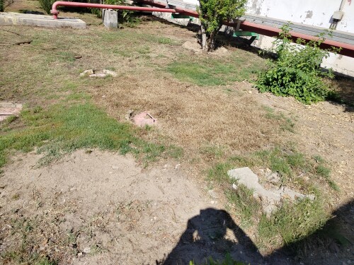 IMG20250707094319.jpg