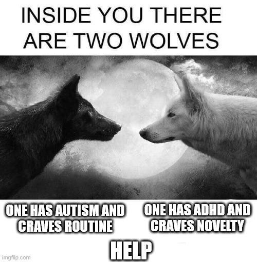 1000076698.jpg