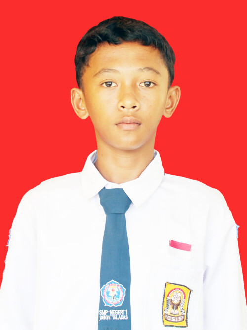 0113413212.jpeg
