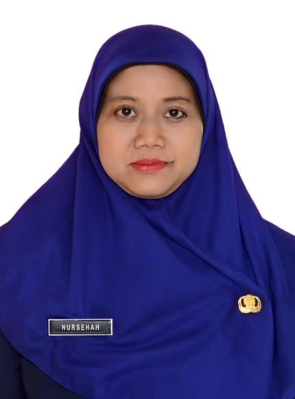 NURSEHAH.png