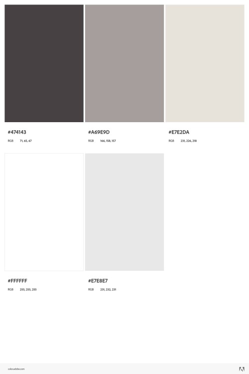 AdobeColor-Luxury-Silver.jpeg