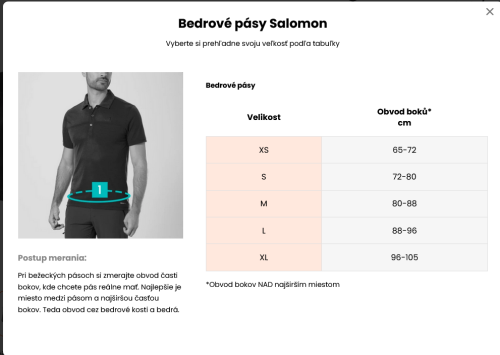 Bezecky-pas_ladvinka-Salomon-Pulse-Belt.png