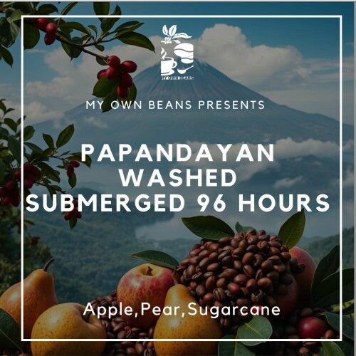 papandayan.jpg