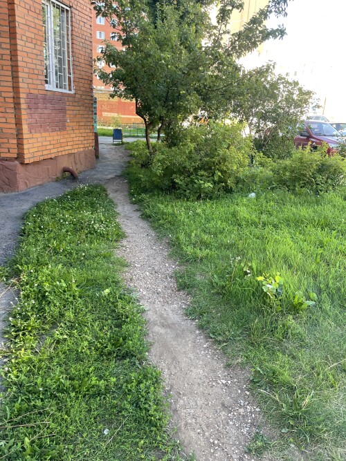 IMG_3670.jpeg