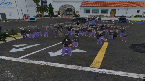OSOBA-WAVE.png