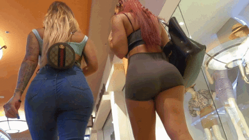 two-pawgs.gif