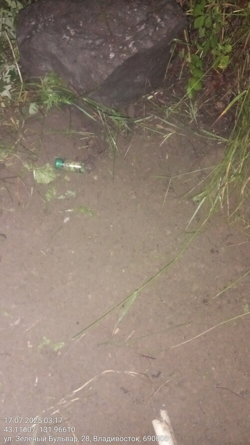 17072025_031746.jpg
