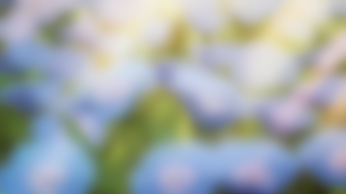 BEZ-NAZVANIY140_20250717082301-1.png