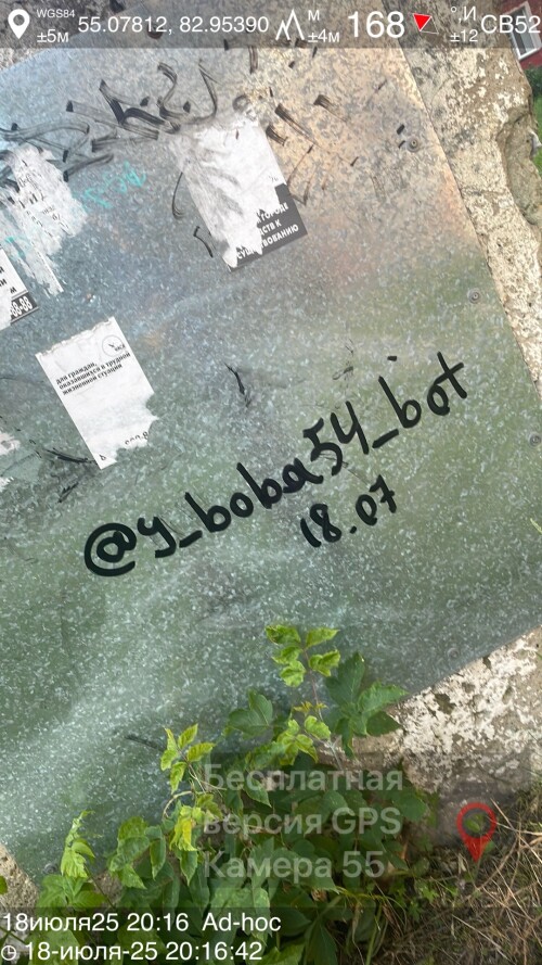 18IYLY25_20-16_s.jpeg