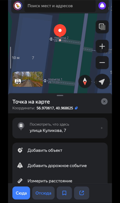 IMG_3655.jpeg