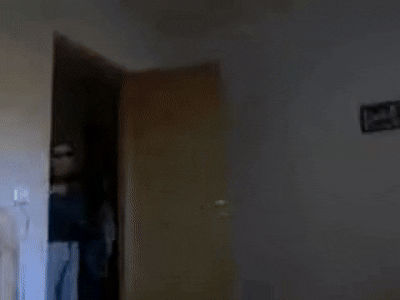 VSEM-PRIVET.gif
