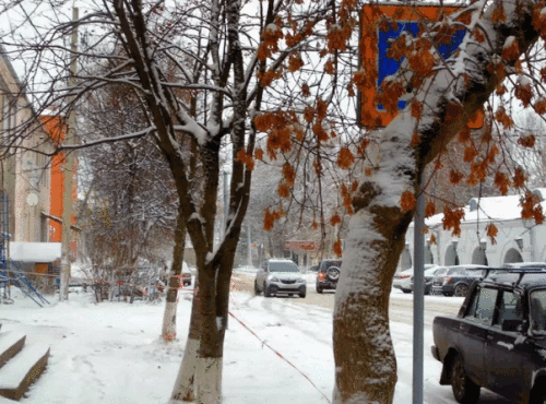1753149890744video.gif