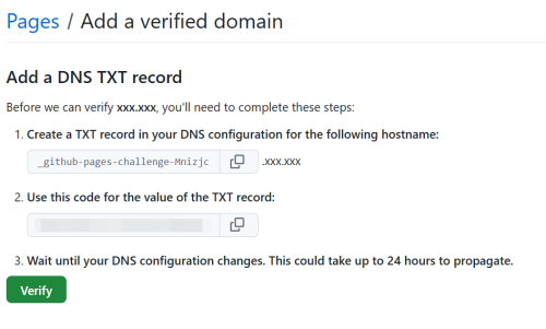 dns_txt_record.png