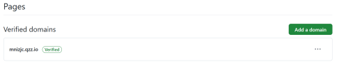 pages_new_domain.png