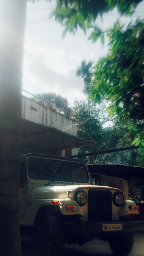 Picsart_25-07-29_10-59-15-621.jpg