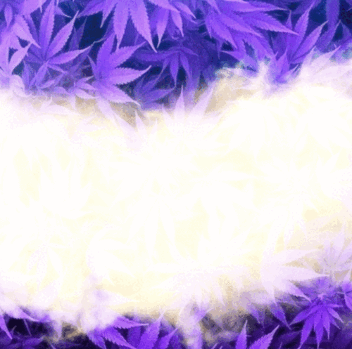 175400469882609235.gif
