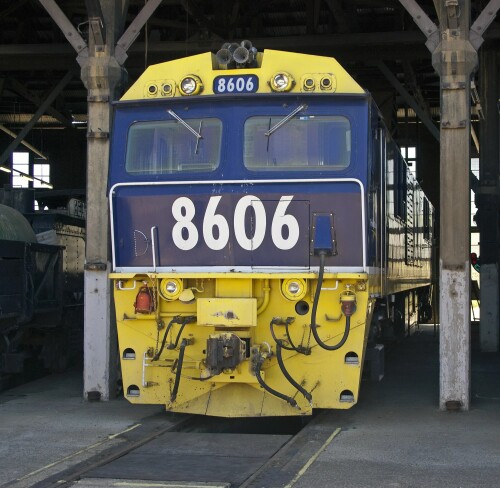 KL569ji82g.jpg
