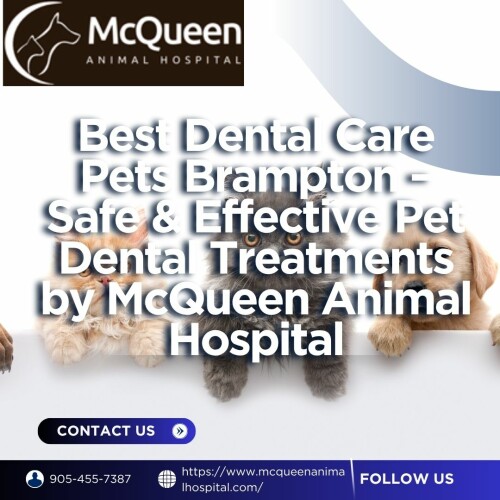 Best-Dental-Care-Pets-Brampton--Safe--Effective-Pet-Dental-Treatments-by-McQueen-Animal-Hospital.jpg