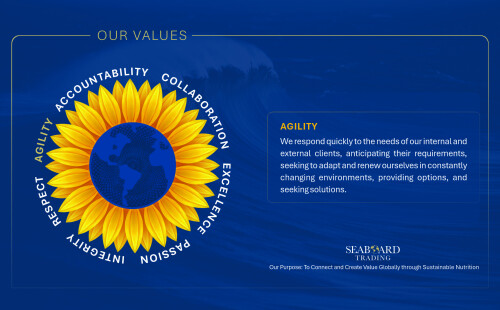 Values-Lockscreen_Agility-A.jpg