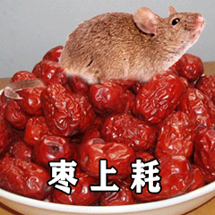 blobb2c617c9605486f4.gif