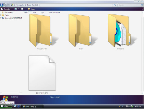 png_support_shorthorn.jpg