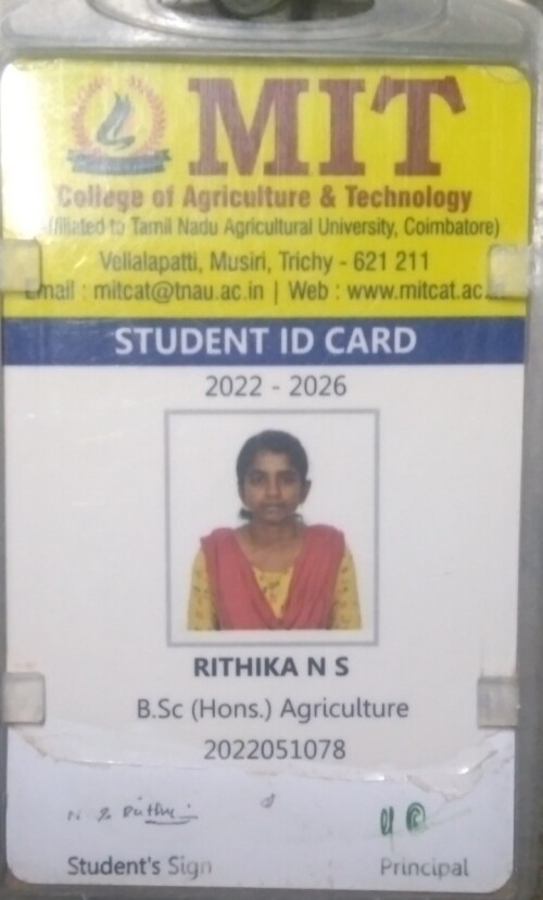 ID-Card.jpg