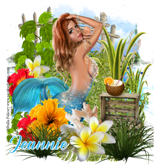 StellaFelice7_PFD_Carol_Coconut.png